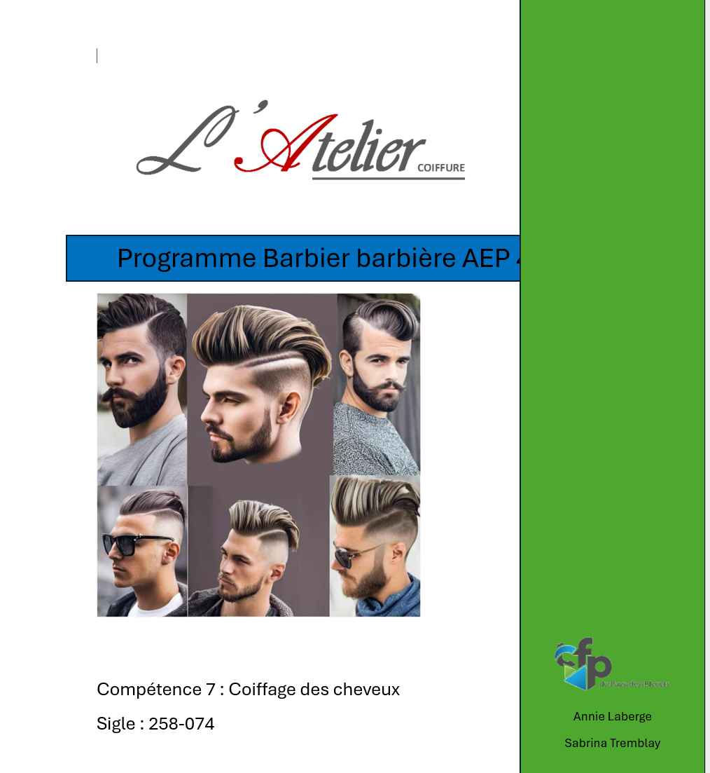 Compétence 7: Appliquer des techniques de coiffage des cheveux - AEP 258-074
