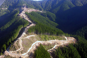 Normes de construction de chemins forestiers (260-663)